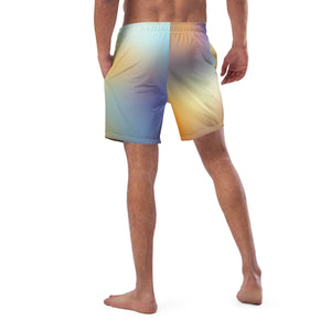 Men's swim trunks